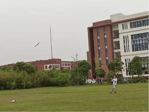 化工春天 文化之初 拾理春风,有你 筝 好,寄情诗和远方