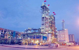 应急管理部 化工园区将设安全监管机构明察暗访