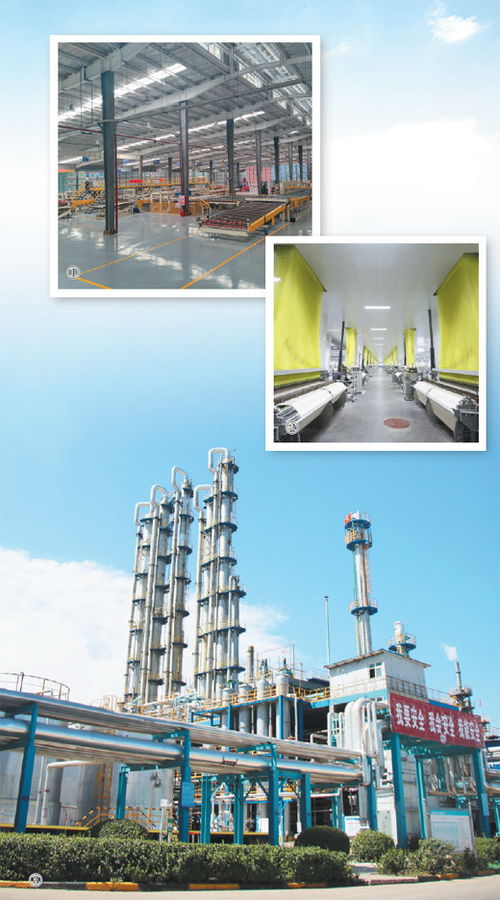 绿色转型 绽放产业新气象 深度观察 深入推进新型工业化