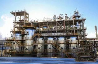 吉化油脂化工产业链项目总投资170亿，2021年竣工投产助力化工产业升级