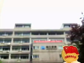 新生攻略 原来我学的专业是这样的——化工